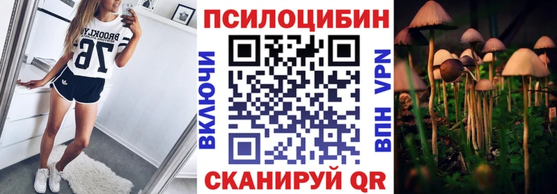 купить наркотик  Усть-Кут  Псилоцибиновые грибы ЛСД 
