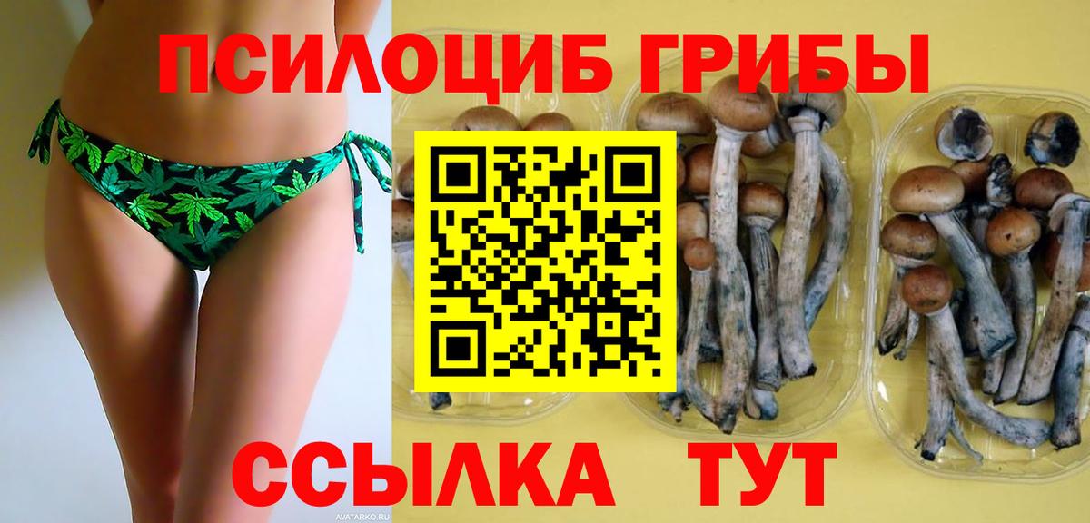 Галлюциногенные грибы мухоморы Усть-Кут
