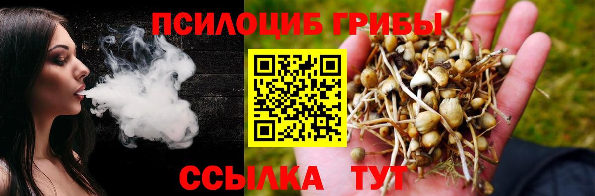 Усть-Кут  Псилоцибиновые грибы GOLDEN TEACHER  Вход с VPN 