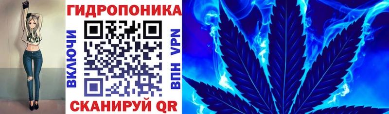 blacksprut tor  Усть-Кут  Марихуана конопля 